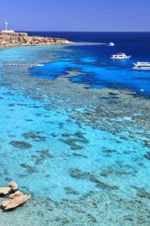 1601986968هضبة ام السيد.